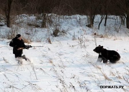 Чувак решил прогуляться по горам, но его компанию не разделил кугуар