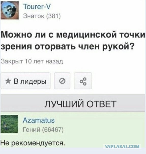 Бредзона 08.02.2021