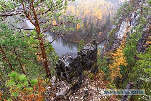 Красота пустыни