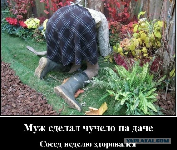 Последняя картинка в вашей Галерее/Загрузках