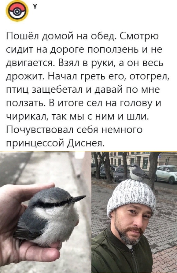 Картинки с надписями и всякие жизненные фразы 20.06.21