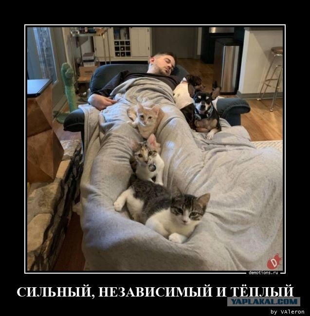 Баянисто-небаянистый юмор 30.11.21