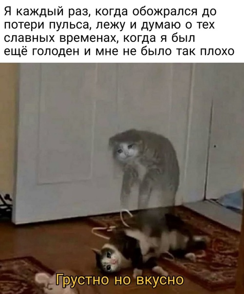 ПервоФевральская Хня, для дорогих деградантов