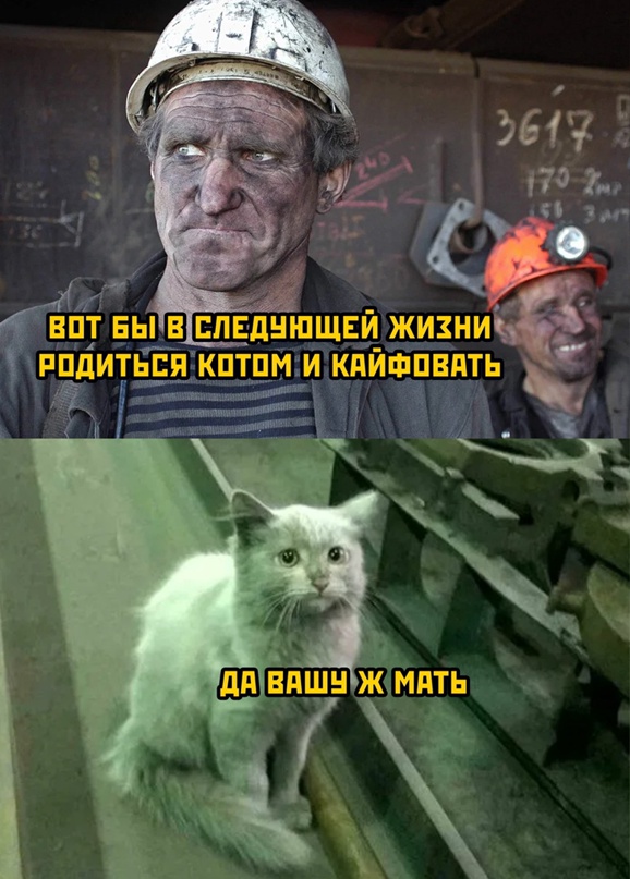 Весёлый полтишок 20.04.22