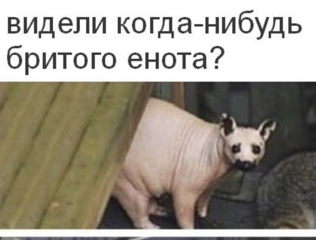 Женской дружбы не существует