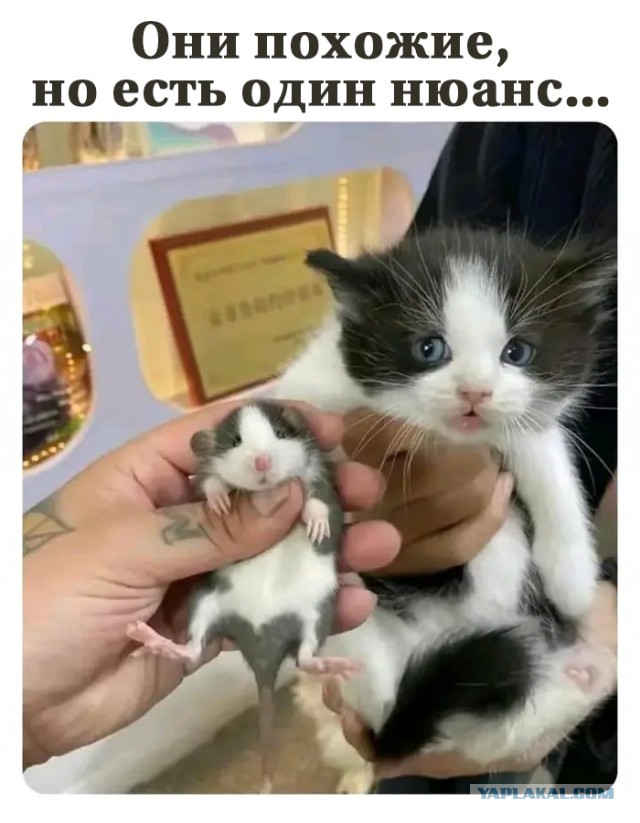 Немного картинок и прочей хреноты Vol. 16
