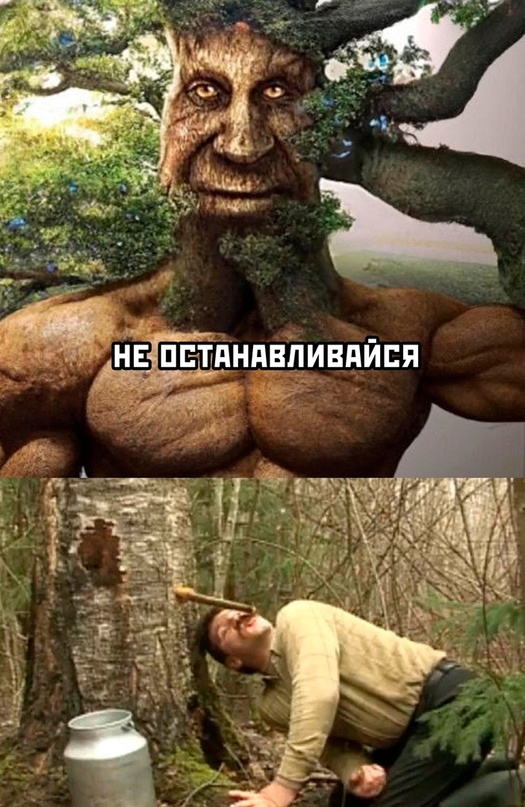 Весёлый полтишок  26.10.22
