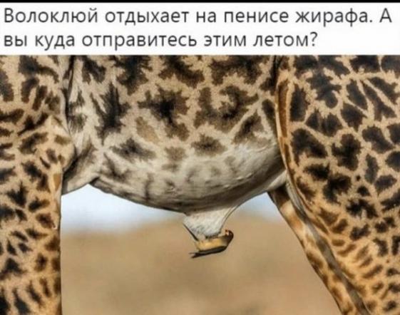 Так себе картинки 17.12.22