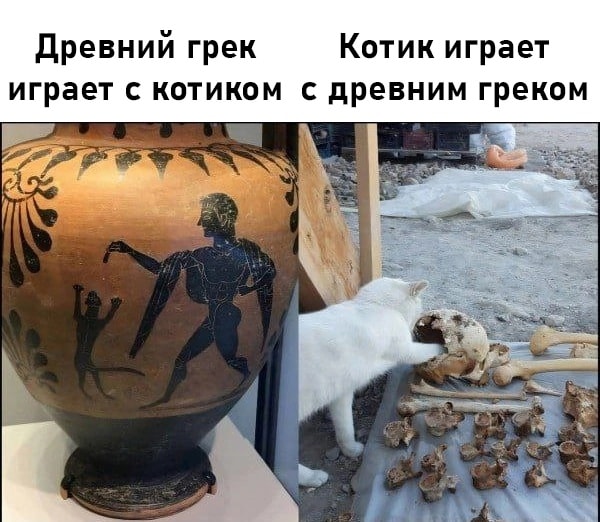 Так себе картинки 28.01.23