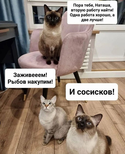 Картинки и мемы, всем хороших выходных