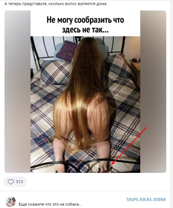 Картинки чуть пошлые