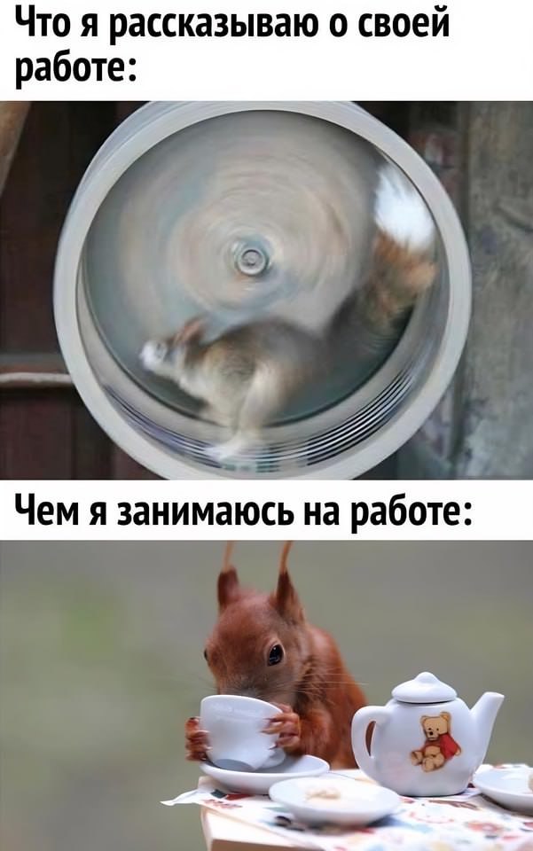 Картинки и мемы для настроения - 181