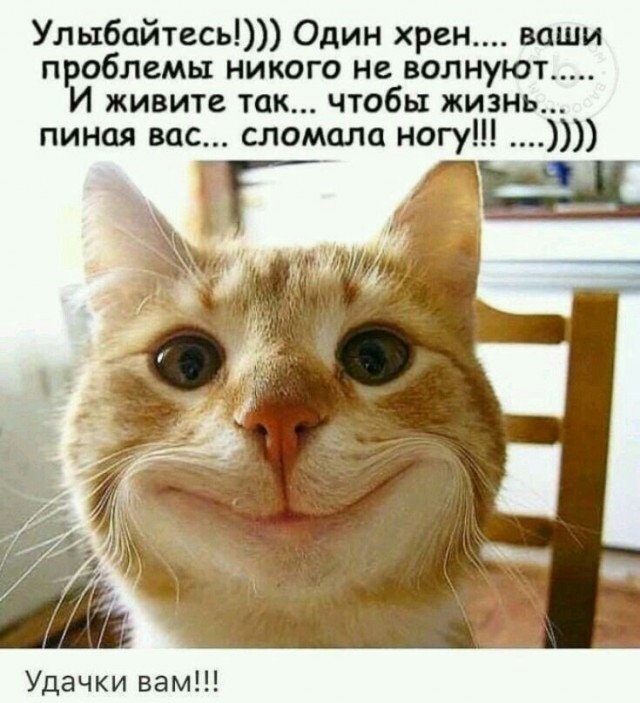 Прикольные и просто красивые картинки 04.08.2023