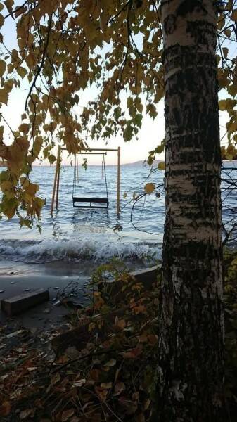 Краски осени