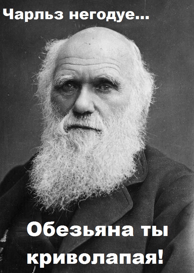 Выделенка для "Волги"