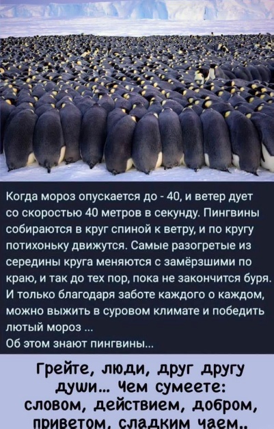 Осторожно, крышечка некрепко держится