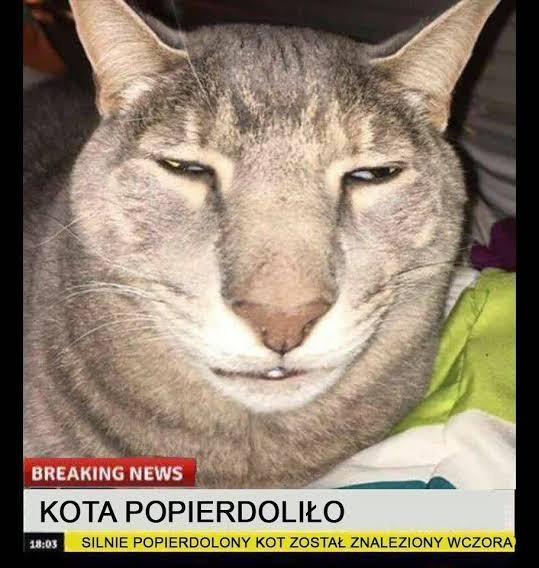 Тест небольшой камеры