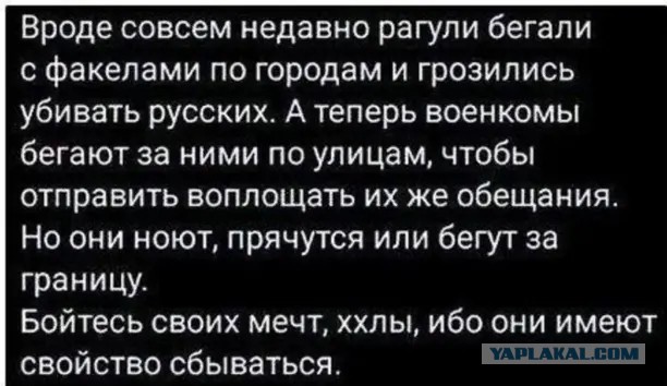 И юмор и зоозащита, и Украина! 3 in 1