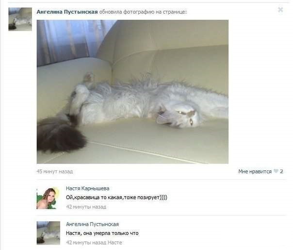 Так себе картинки 27.05.24