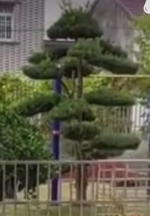 Скучает по другу