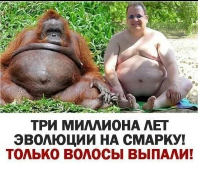 Так себе картинки 06.02.25