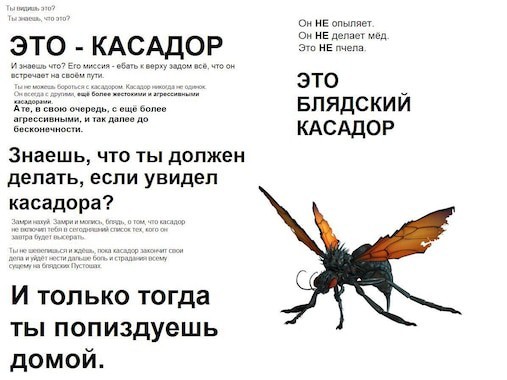 Оса-ястреб: Убийца тарантулов. Элегантный киллер с чрезвычайно болезненным укусом