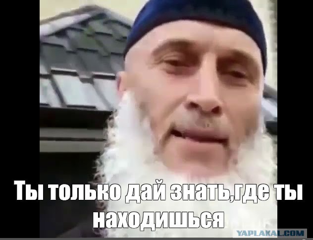 Спиртоубежище