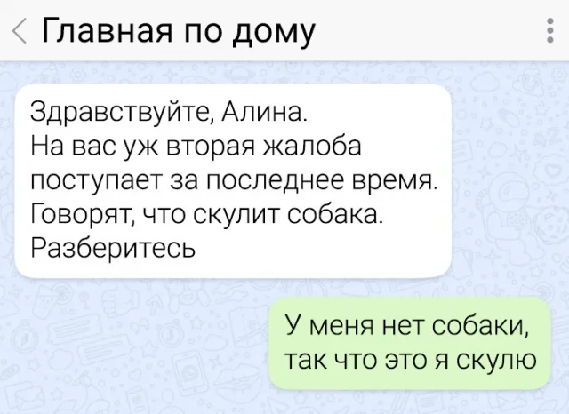 Когда в чате жгут: 15 забавных смс-переписок