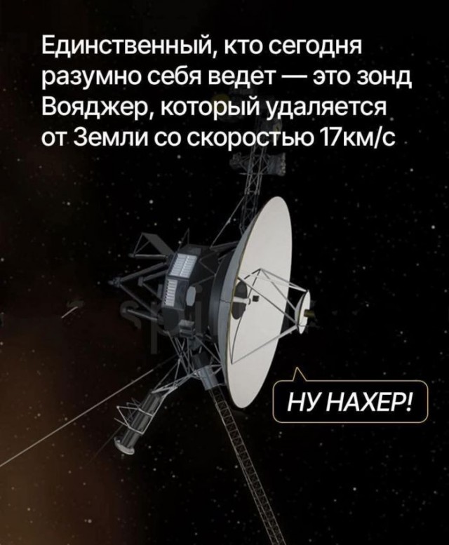 За нами наблюдают, но не вмешиваются.
