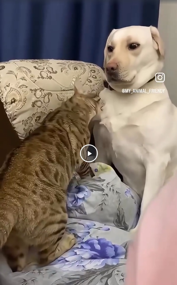 Ну что ты сутулая