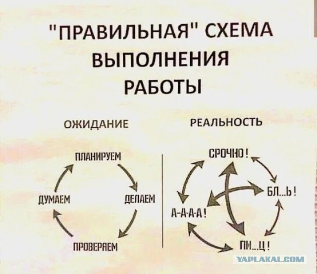 Веселая ферма. Ответ на пост