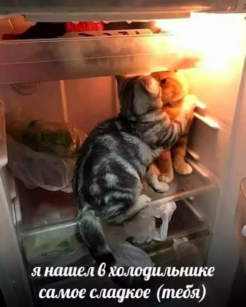 Картиночки, баянчики 13 марта