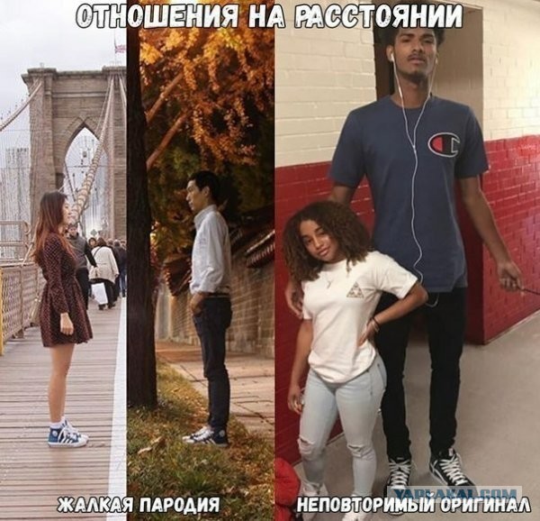 Полторашки забавные