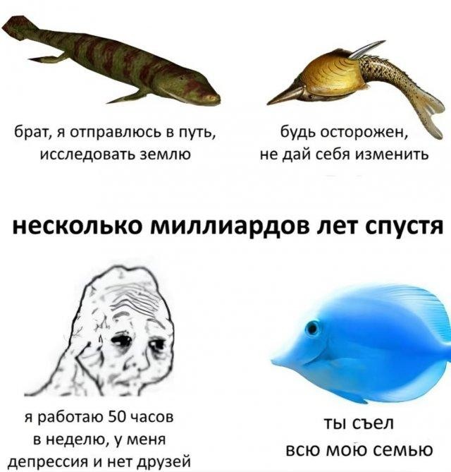 Картинки для деградации 232 (разной степени свежести)