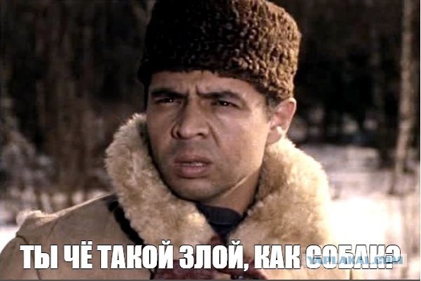 Чунга-Чанга весело живет