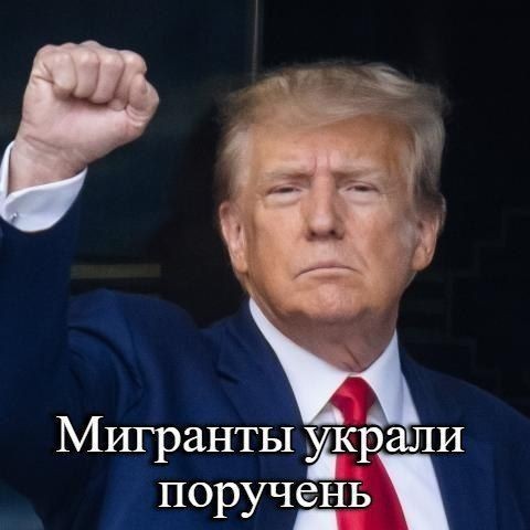 Началось, коллеги!
