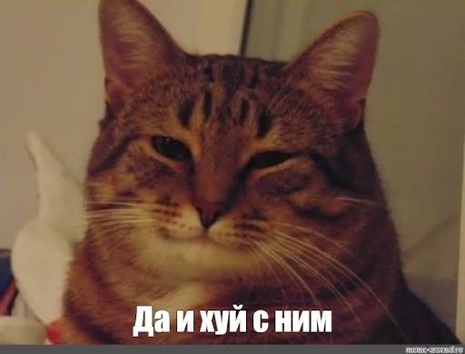 Инстасамка уехала из России