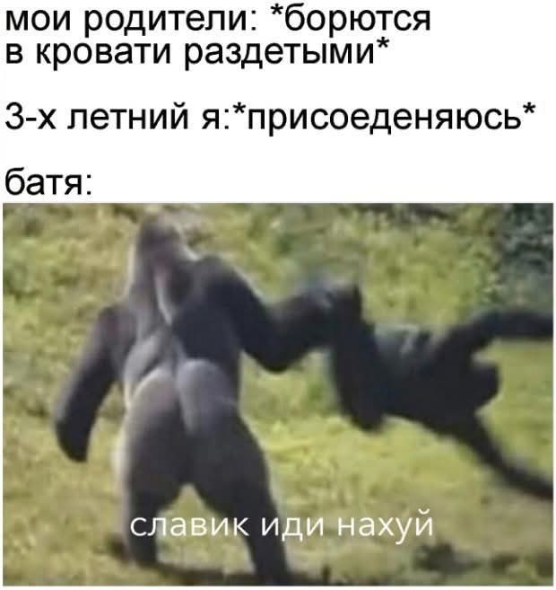 Если жизнь дала тебе лимон — сделай лимонад. Если жизнь дала тебе помидор — не пытайся сделать лимонад