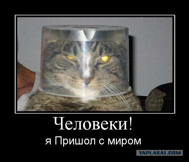 Опять демотиваторы!