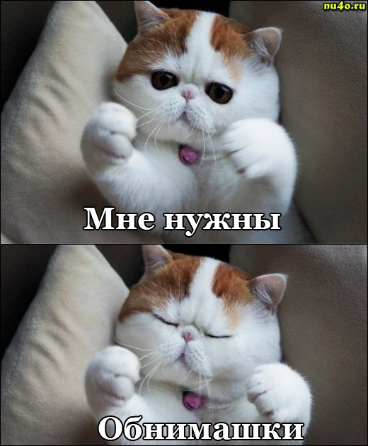 Обнимите меня кому не лень.
