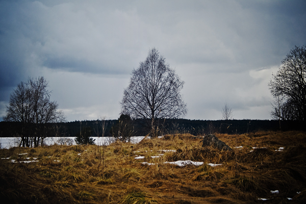 Скоро зима, товарищи !