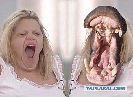 Весёлые картинки. Разбавим будни