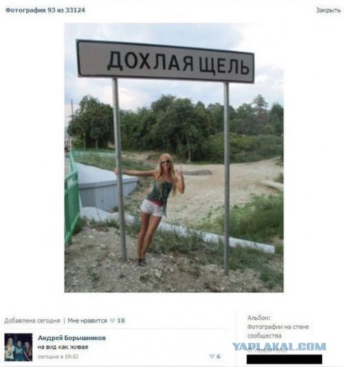 Очередная подборка смешных высказываний