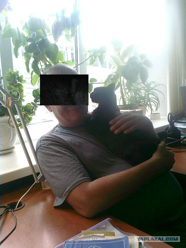 Все умрут, но некоторые не сегодня