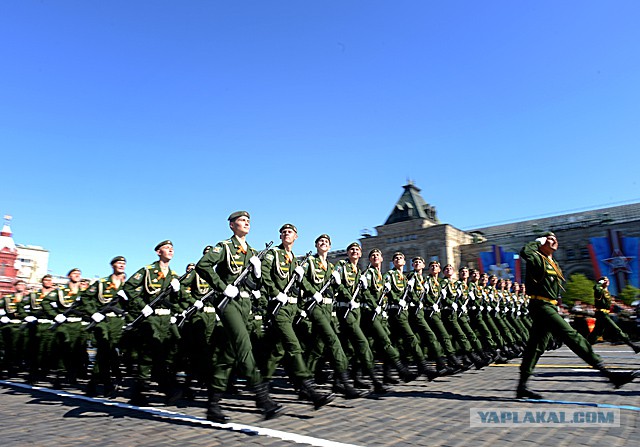 Поляки и День Победы