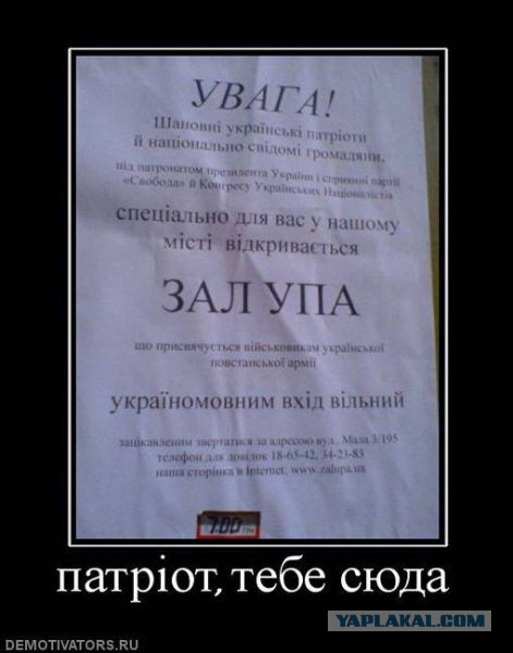 Сатиры псто