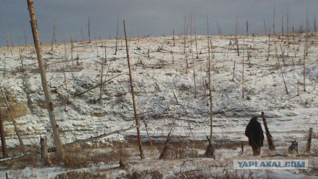 Кто и как катается на внедорожниках