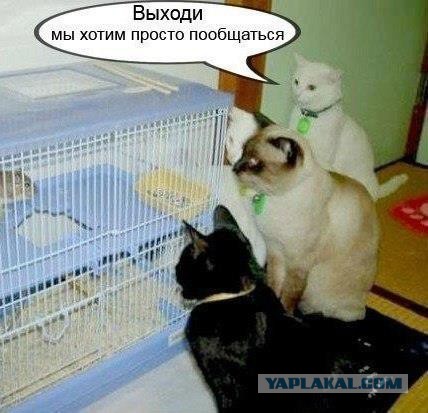 Немного позитива на пятницу.