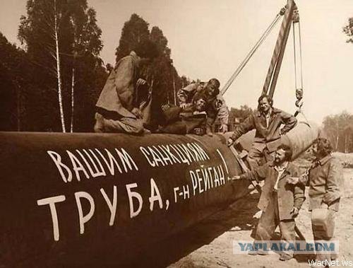 Путин подписал указ об ответных санкциях