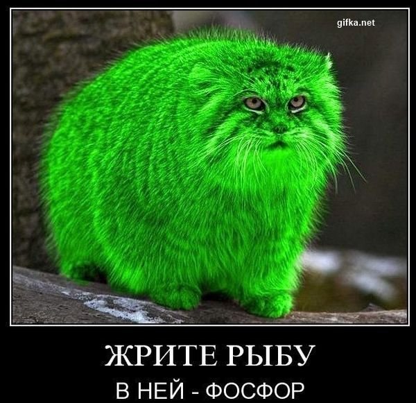 Чёрт, чёрт, чёрт!